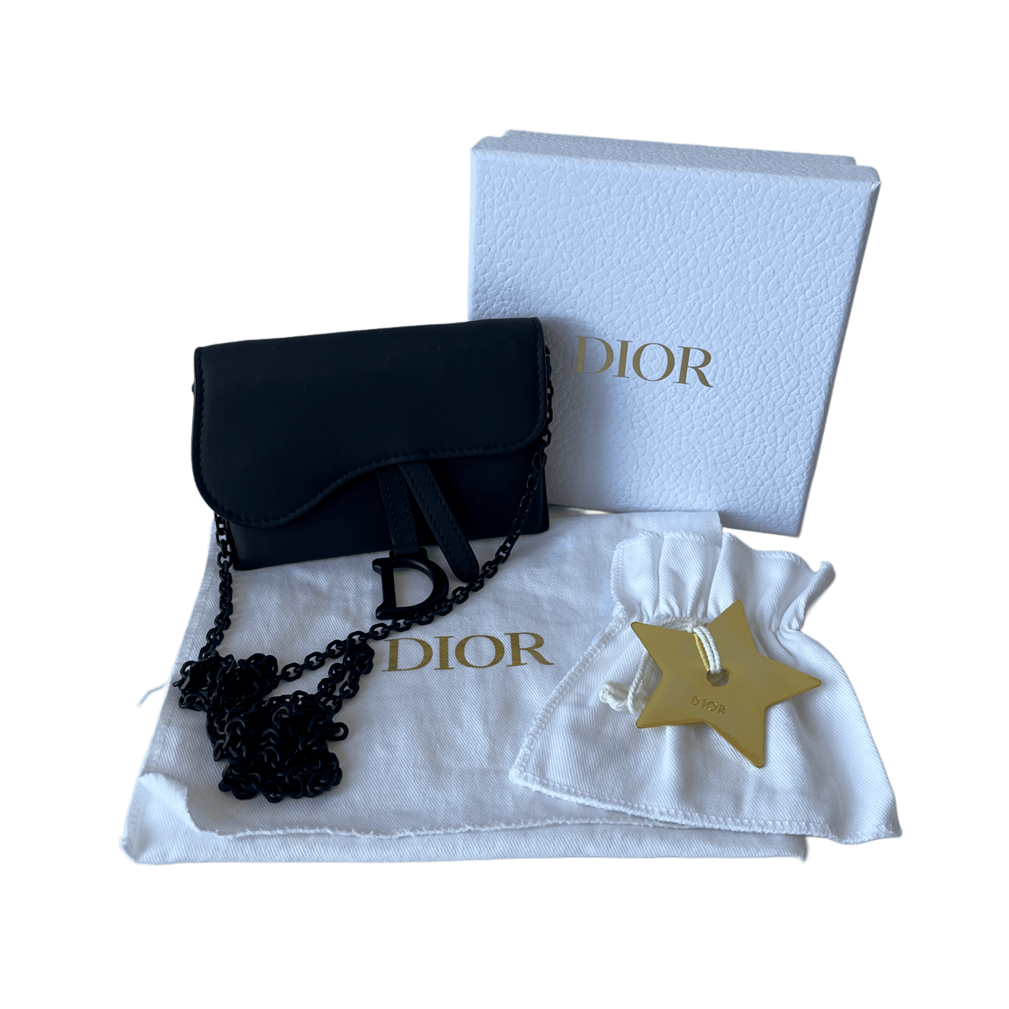 Dior Saddle Mini Wallet on Chain Schwarz